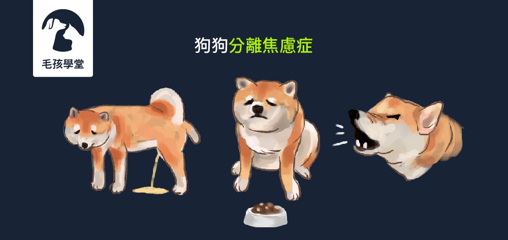 狗狗分離焦慮症？讓寵物訓練師教你如何釐清及處理